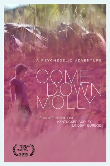 Come Down Molly (2015)